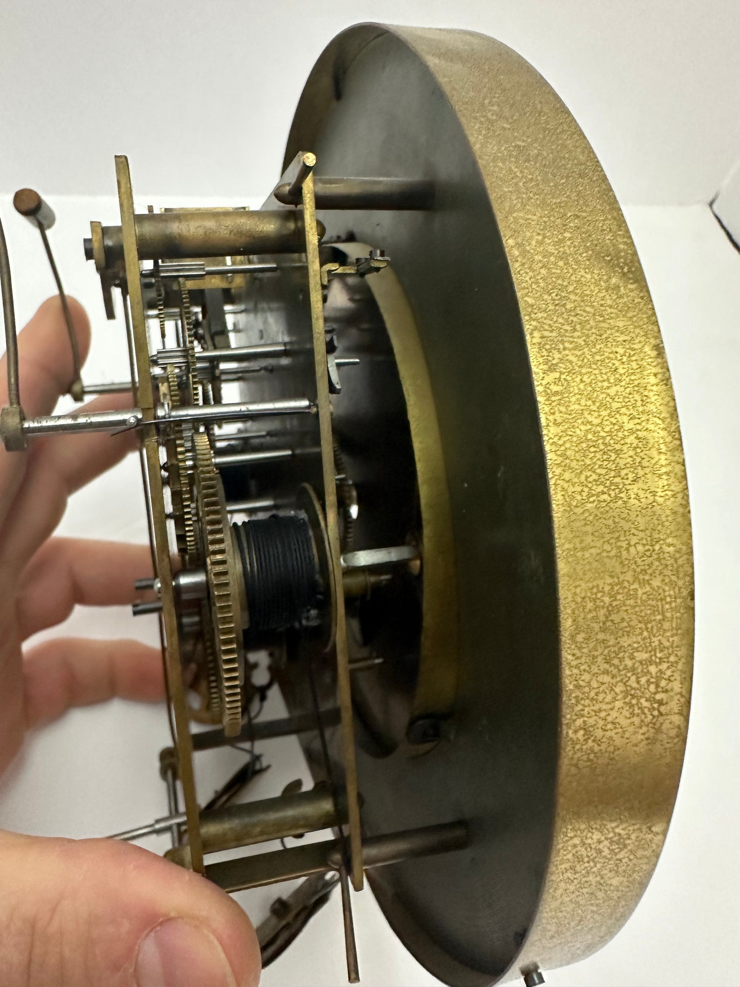 Parts Clock Whole - 3 Weight Vienna Regulator