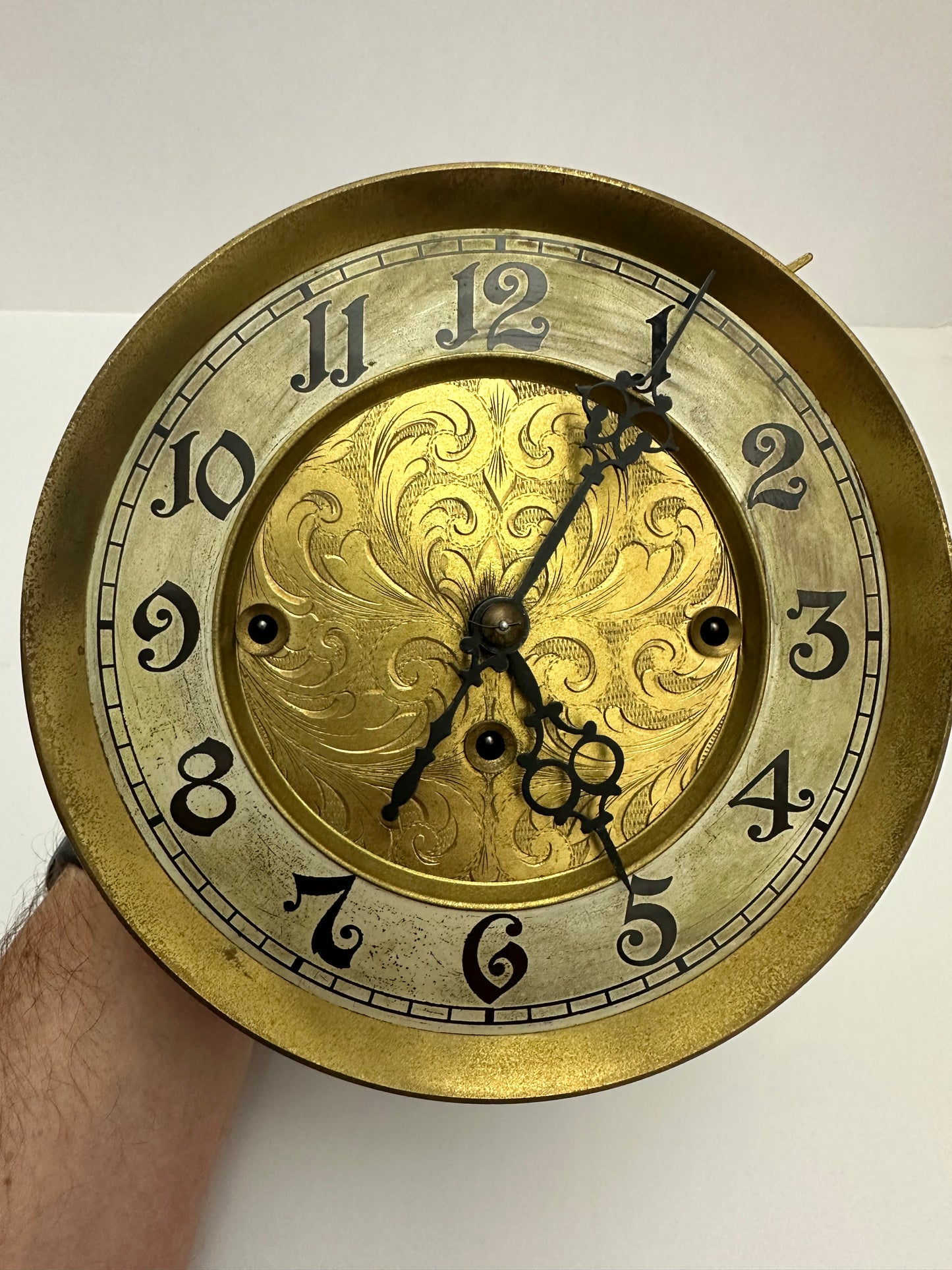 Parts Clock Whole - 3 Weight Vienna Regulator
