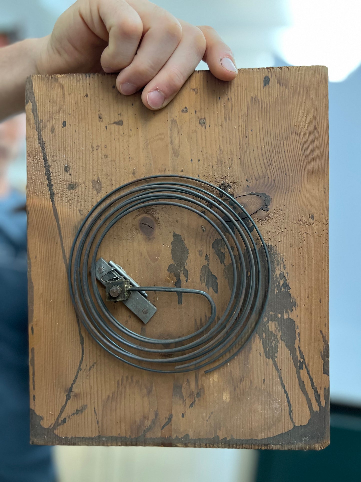 Parts Clock Whole - Quail Cuckoo Clock