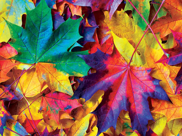 MasterPieces - FALL FRENZY (550 PC PUZZLE)