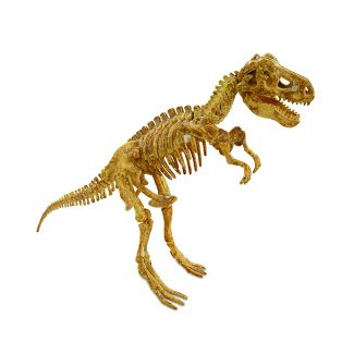 MindWare- Big Dig Dino: T-Rex